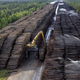 Illustration for article titled The Worlds Largest Wood Stockpile Is Absolutely Insane